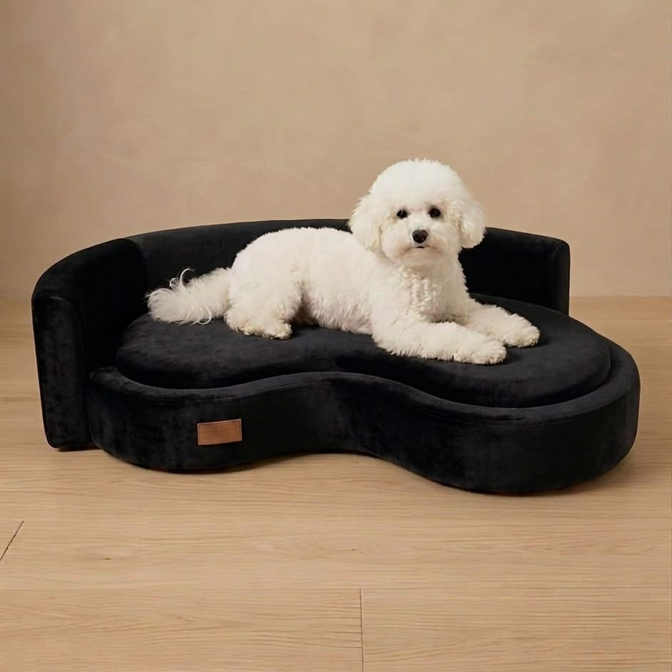 The Monaco Lounger