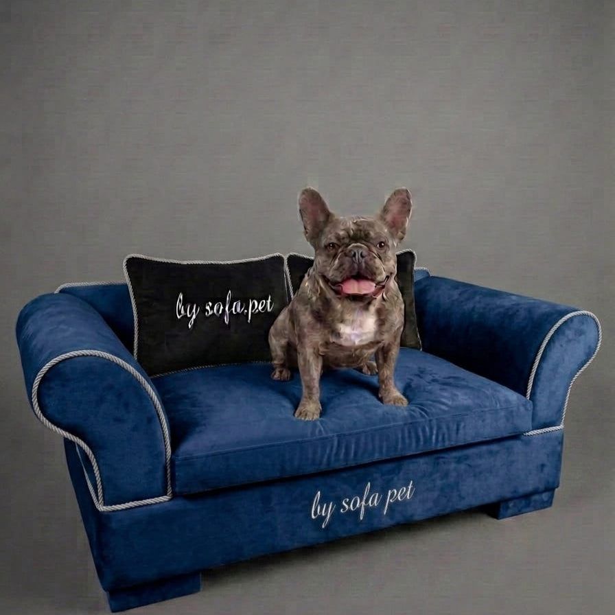 The Aspen Velvet Sofa