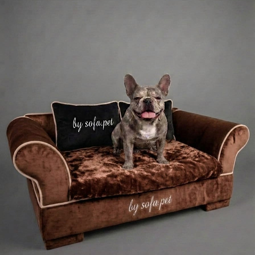 The Aspen Velvet Sofa