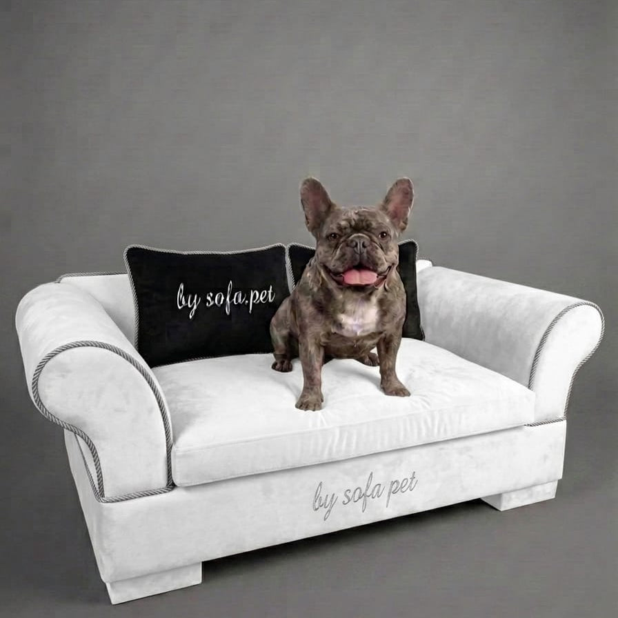 The Aspen Velvet Sofa