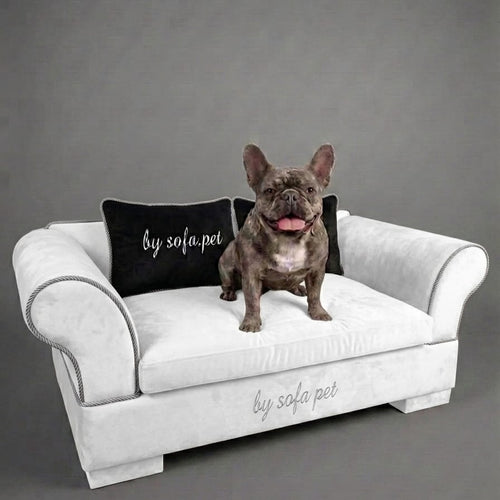 The Aspen Velvet Sofa
