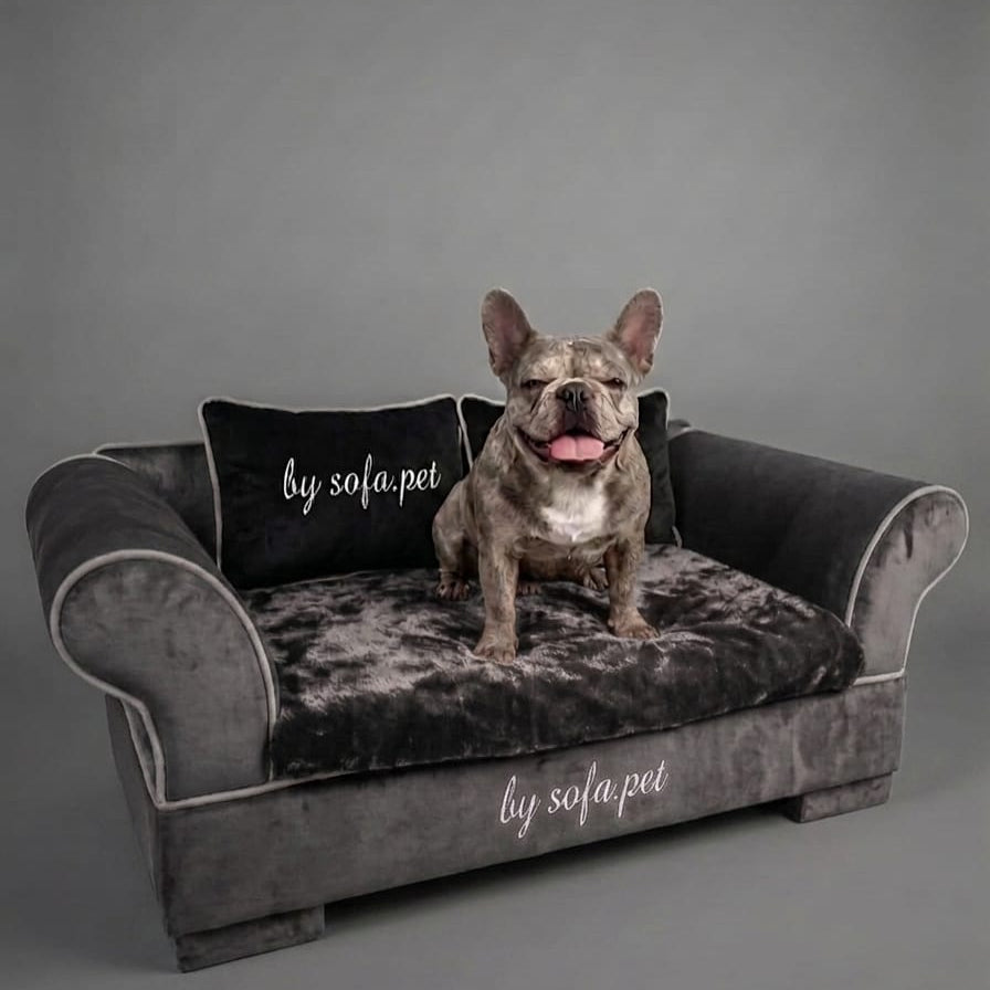 The Aspen Velvet Sofa