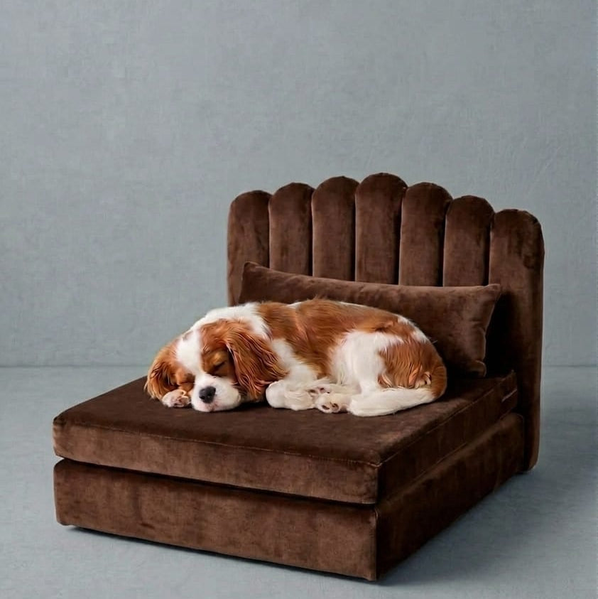The Manhattan Velvet Bed