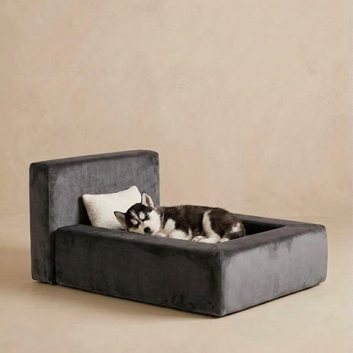 The Chelsea Velvet Bed