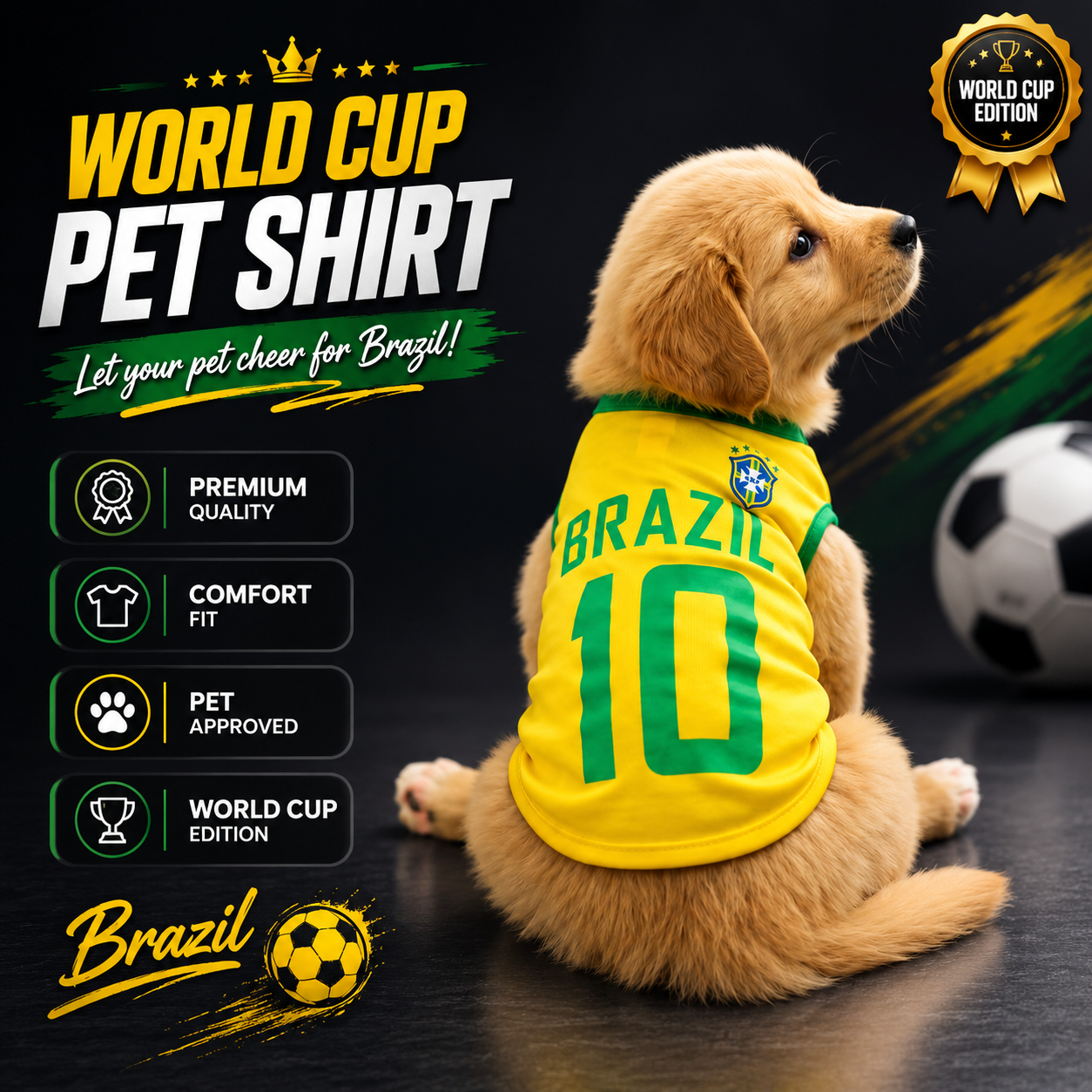 World cup Brazil no.10