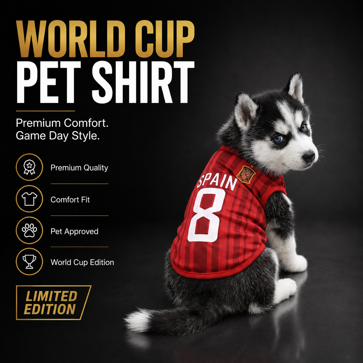 World cup Spain no. 8