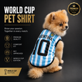 World cup Argentina no. 10