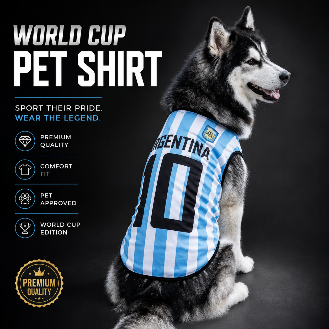 World cup Argentina no. 10