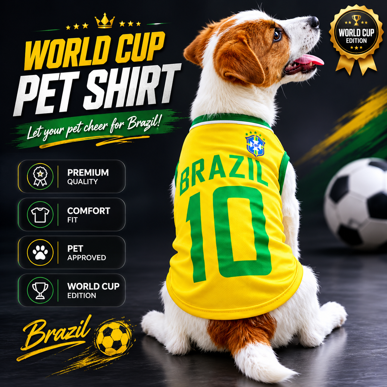 World cup Brazil no.10