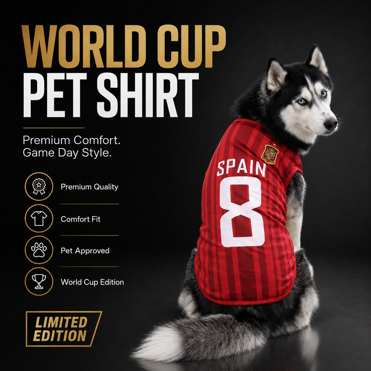 World cup Spain no. 8