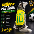 World cup Brazil no.10