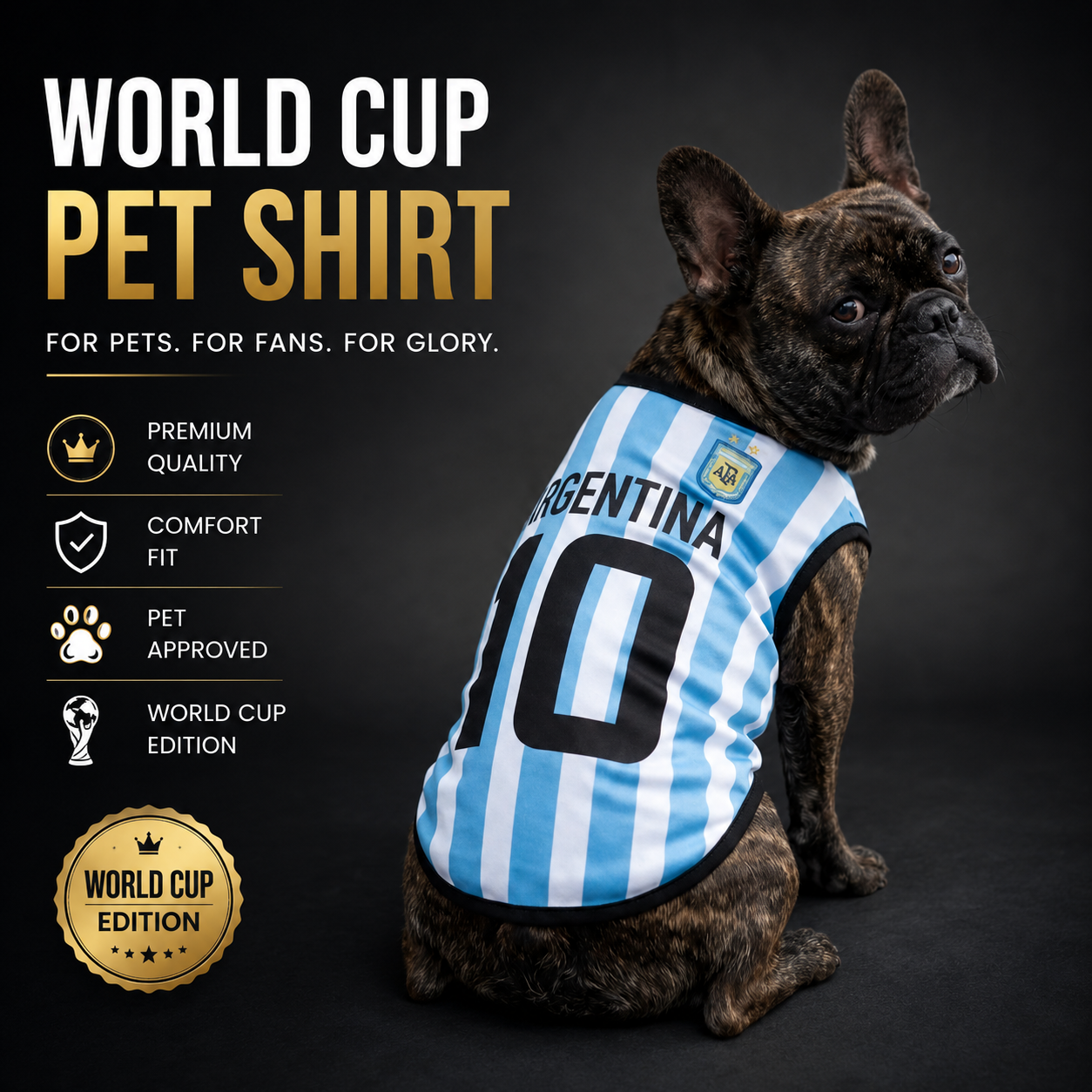 World cup Argentina no. 10